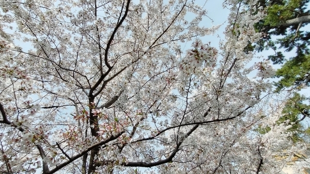DSC_2355.JPG